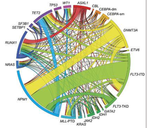 <p>AML: Molecular Genetics</p>