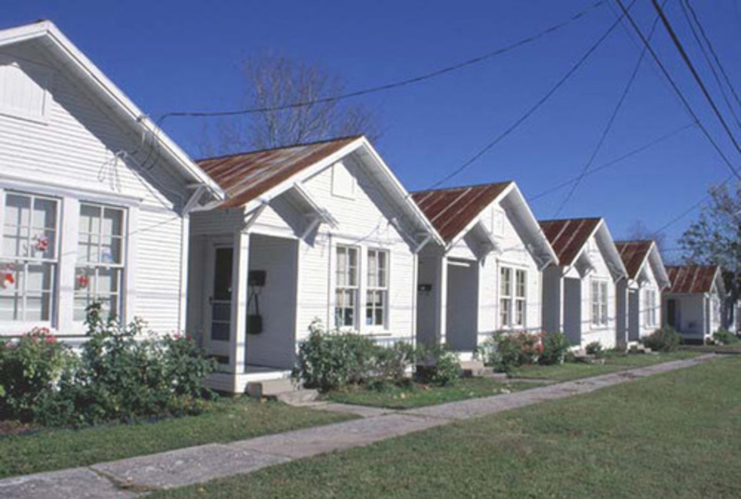 <p>lack of variation, sameness</p>