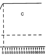 <p>sustaied maximal tension due to high frequency stimulation </p><ul><li><p>straigh line thats very high due to continuous activation</p></li></ul><p></p>