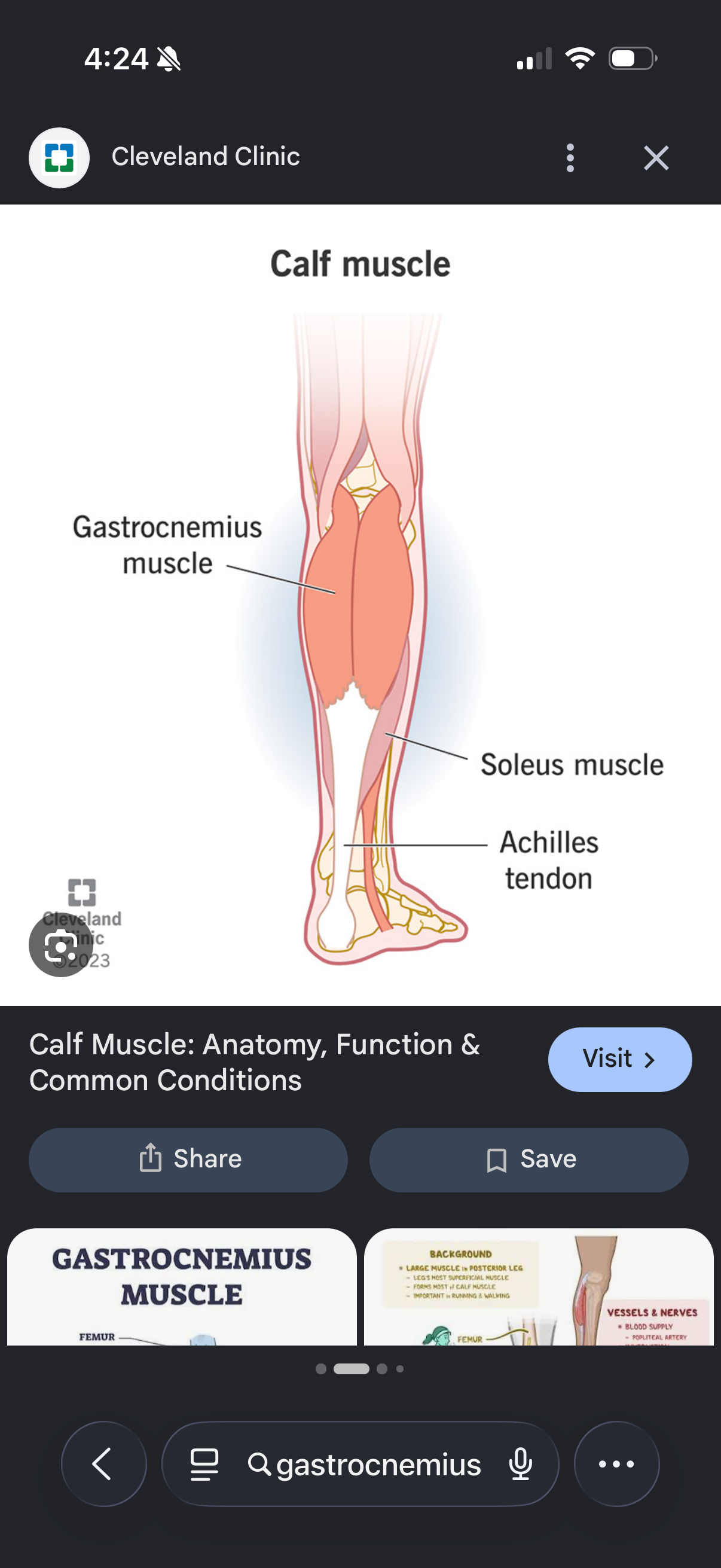 knowt flashcard image