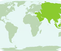 <p>continent (Elle)(voyager)</p>