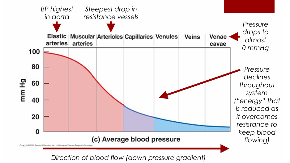 <p>Down a pressure gradient from high to low pressure</p>