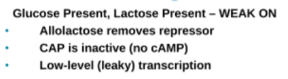 <p><span>Glucose present, lactose present</span></p>
