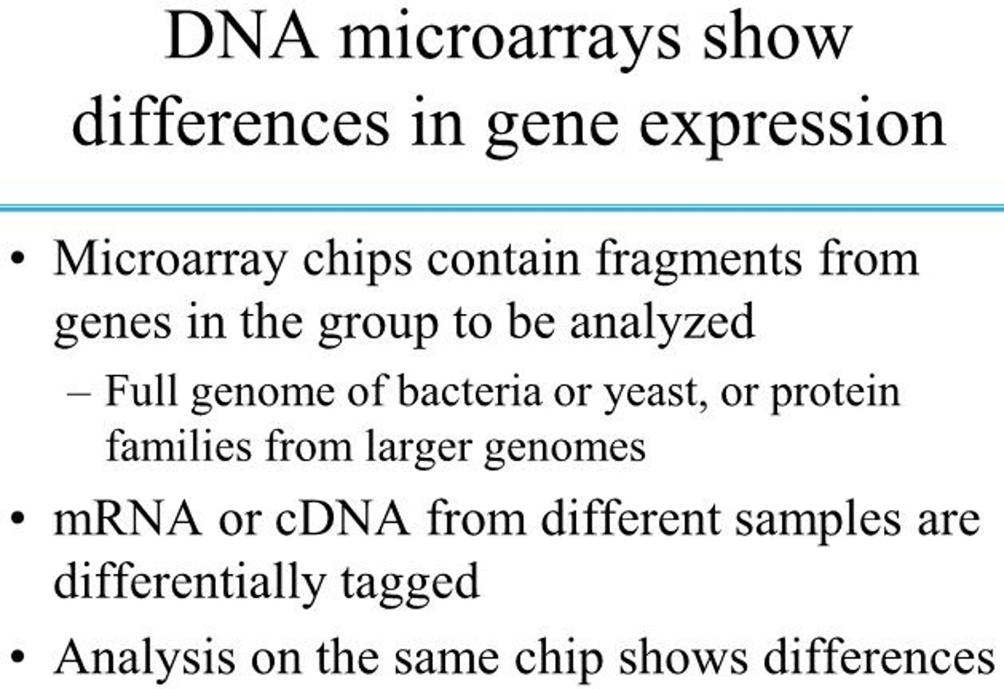 <p>Major refinements of the technology underlying DNA libraries, PCR, and hybridization have come together in the development of DNA microarrays (sometimes called DNA chips), which allow the rapid and simultaneous screening of many thousands of genes. DNA segments from known genes, a few dozen to hundreds of nucleotides long, are amplified by PCR and placed on a solid surface, using robotic devices that accurately deposit nanoliter quantities of DNA solution. Many thousands of such spots are deposited in a predesigned array on a surface area of just a few square centimeters. Once the chip is constructed, it can be probed with mRNAs or cDNAs from a particular cell type or cell culture to identify the genes being expressed in those cells.</p>