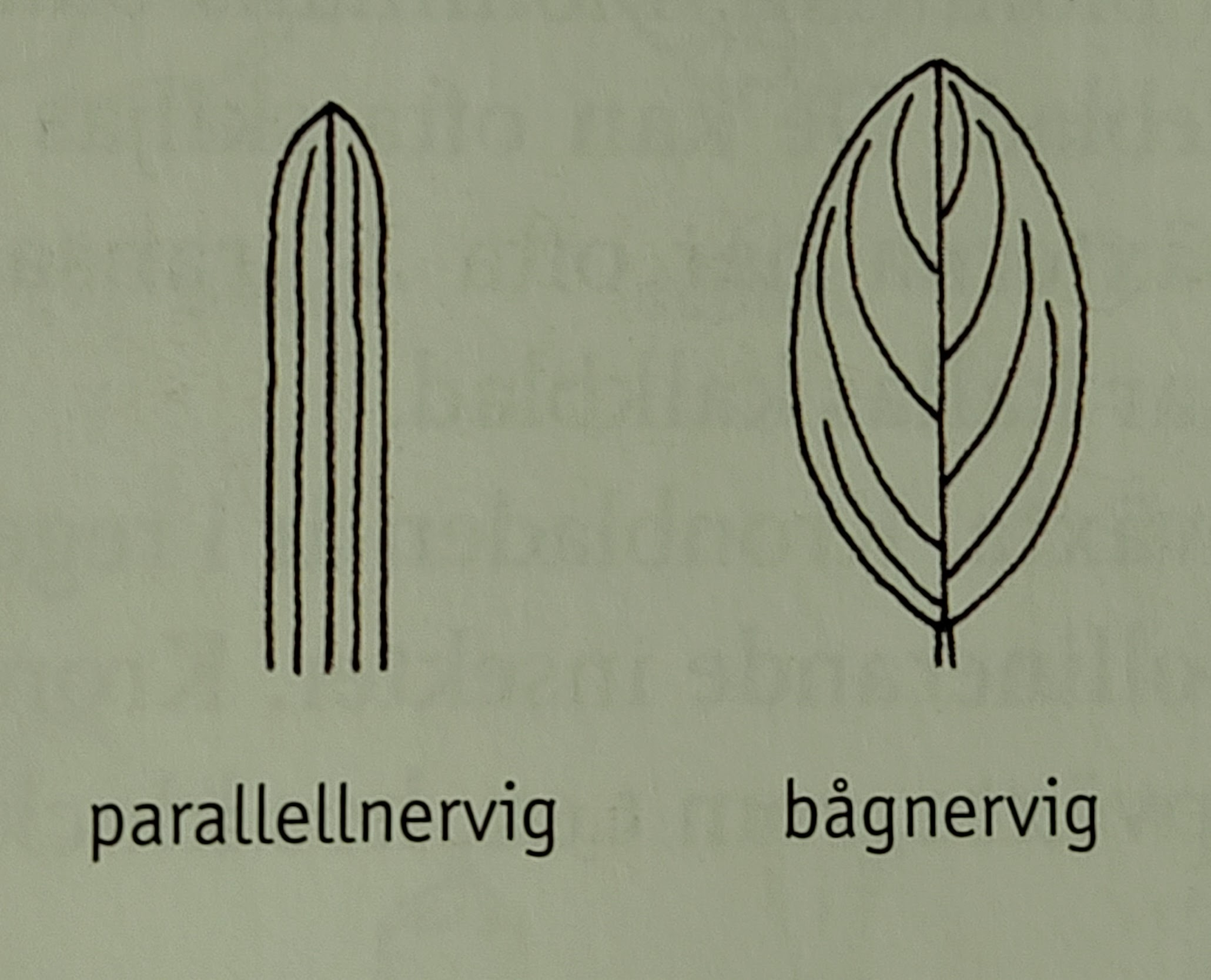 <p></p>
