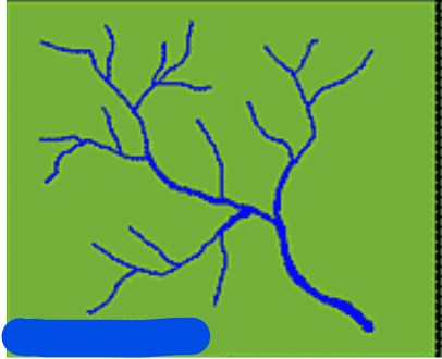 <p>what is this drainage pattern</p>