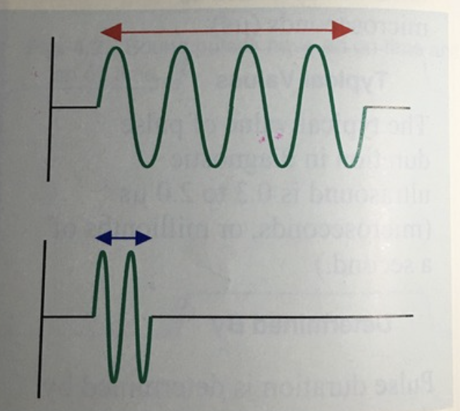<p>What is being demonstrated by the red and blue arrows in the image?</p>