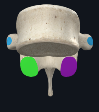 <p>(different colour)</p>