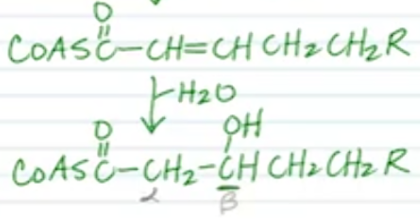 <p>Name the reaction and the FG transformation.</p>
