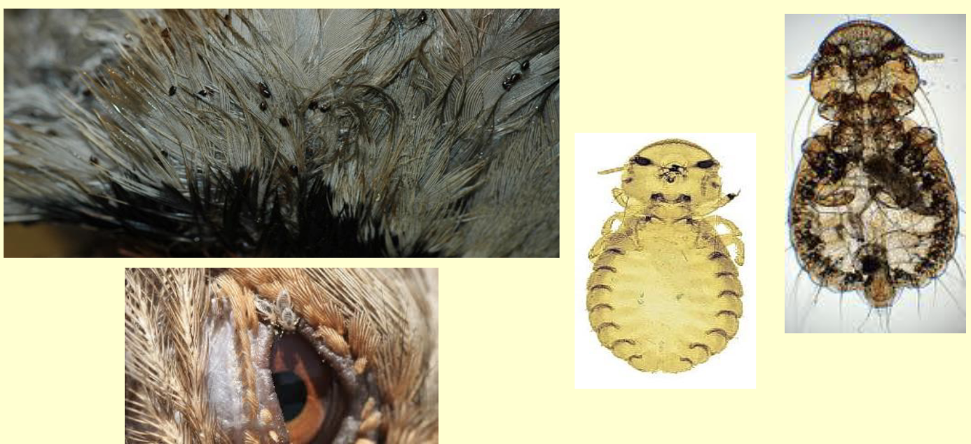 <p>What is this?</p>
