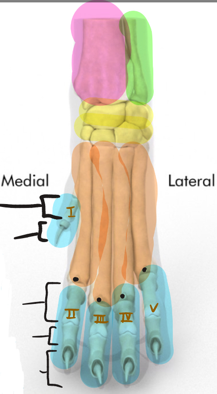 <p>Green is_____</p>