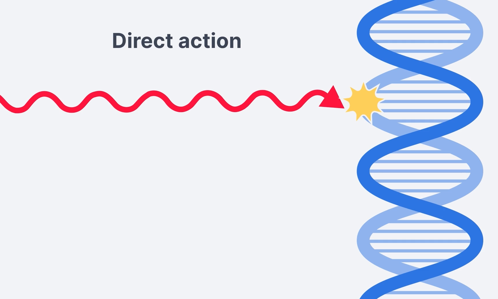 <p>Direct Action</p>
