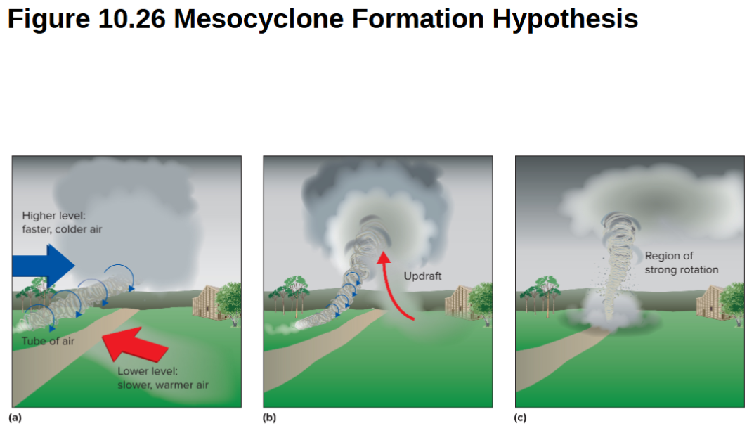 <p>-Air mass collisions low in atmosphere create horizontal tube of air spinning parallel to ground<br>-Warm rising air provides vertical wind shear that lifts the spinning tube of air.<br>-can rise to mesocyclone status</p>