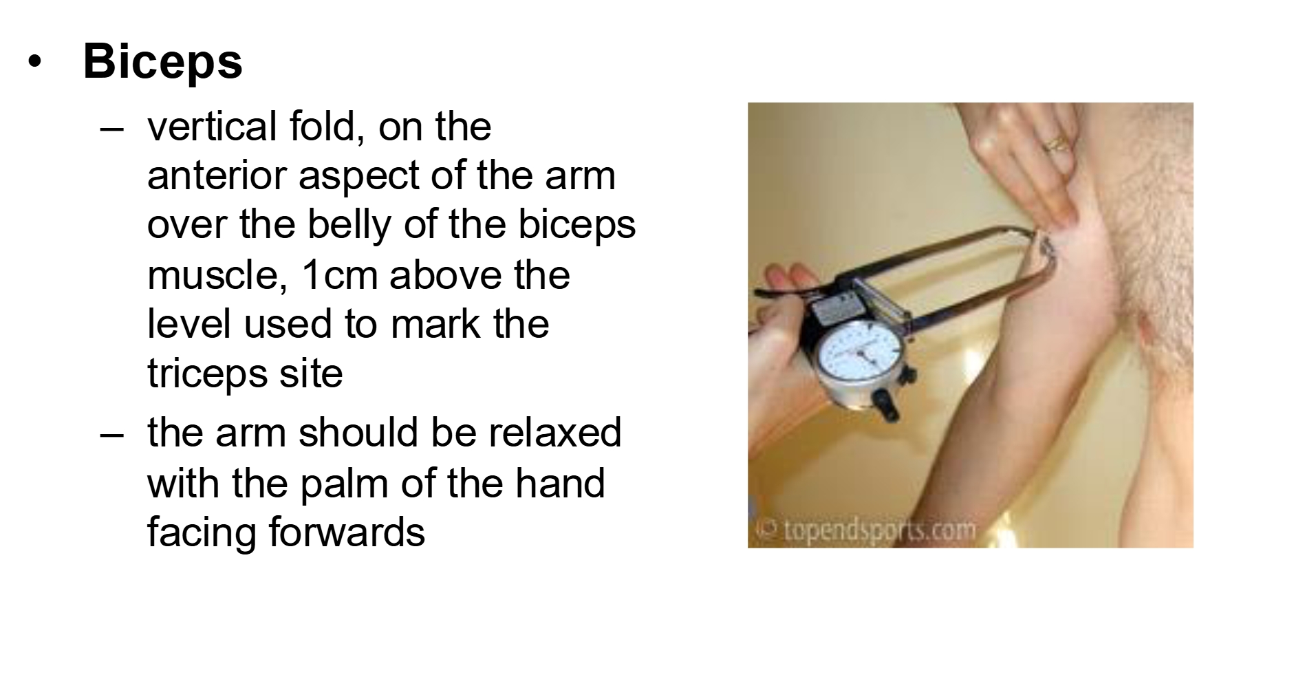 <p>vertical fold, 1cm above the level used to mark the tricep</p>