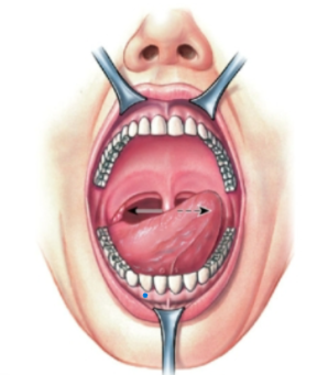 knowt flashcard image