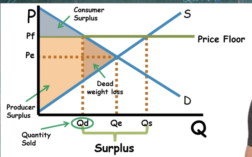 <p>When price is above equilibrium: surplus (price floor has to be above to be binding)</p><p></p>