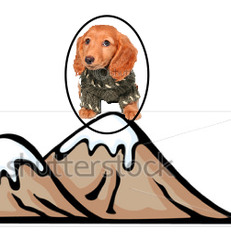 <p>on top of</p>
