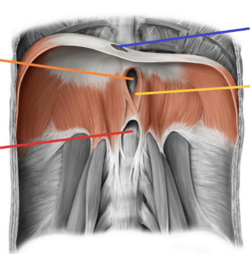 <p>what is the yellow line pointing at?</p>