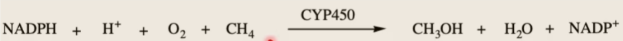 <p>NADPH + H+ + O2 + R -CYP450→ NADP+ + H2O + ROH</p>