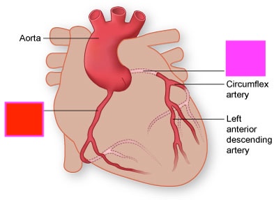 <p>{TYPE OF VESSEL}</p>