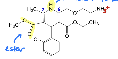 <p>What part of this structure helps salt form? </p>