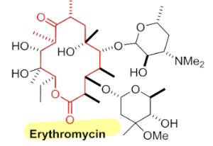 <p>Ketolides, inhibit bacterial protein synthesis</p>