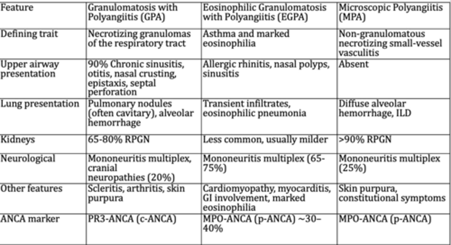 <p>Characterized by necrotizing glomerulonephritis with little or no deposition of Immune-complexes or complement</p>