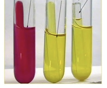 <p>What is the pH indicator in the phenol red broths? </p>