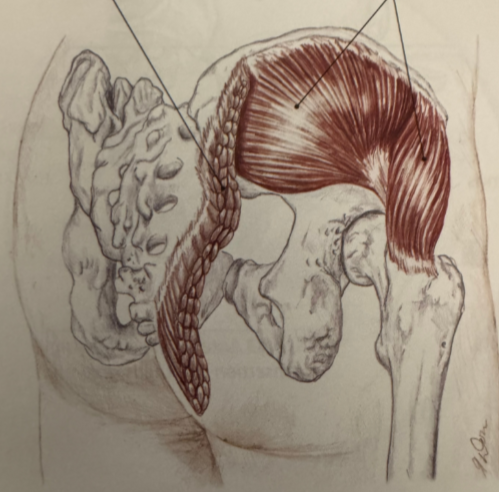 term image