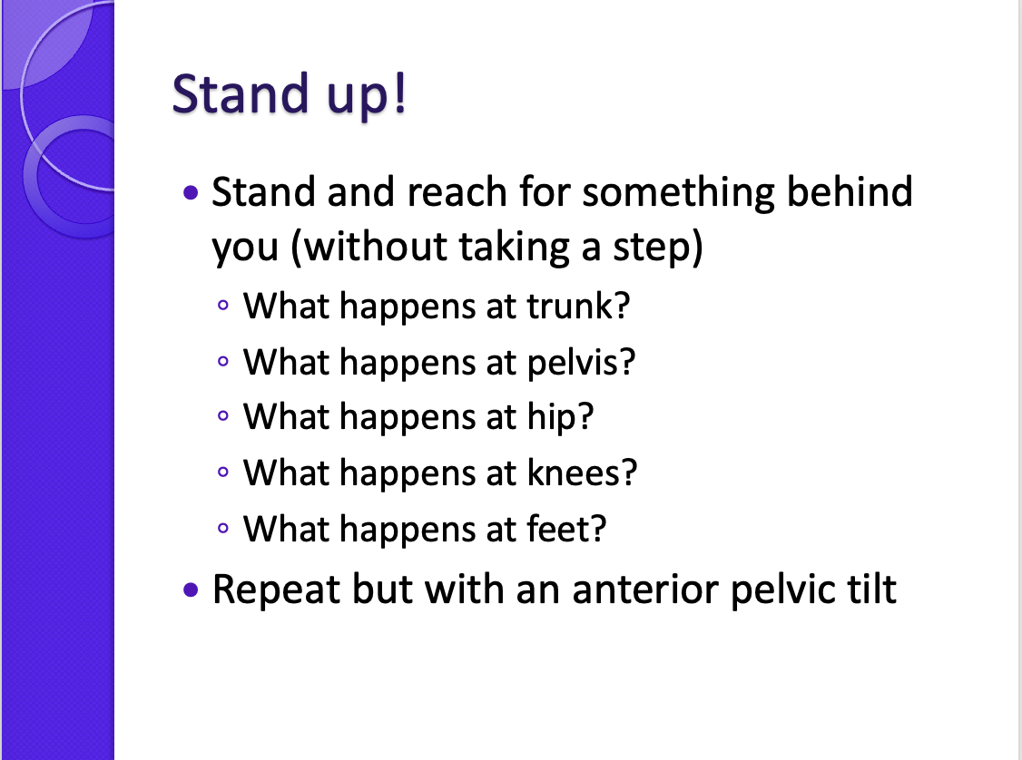 <p><span>To L</span></p><p style="text-align: left;"><span>Trunk: rotation and L sidebend</span></p><p style="text-align: left;"><span>Weight transfer to lateral L foot</span></p><p style="text-align: left;"><span>Shirtening on the side of the rotation</span></p><p style="text-align: left;"><span>Flexion of R knee</span></p><p style="text-align: left;"><span>Straightened/locked out L knee</span></p><p style="text-align: left;"><span>Extension of R hip and flexion of L</span></p><p style="text-align: left;"></p><p style="text-align: left;"></p><p style="text-align: left;"><span>Anterior pelvic tilt: decreased roation, tightening of extensors, we got rotation more from thoracic spine instead of lumbar spine like before – hypermobile T12</span></p>