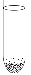 <p>grows only in O2 absence</p><p>Deep results: bottom-only growth</p>