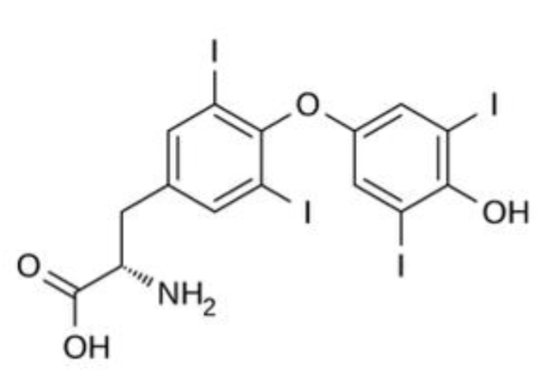 <p>What thyroid hormone is this? </p>