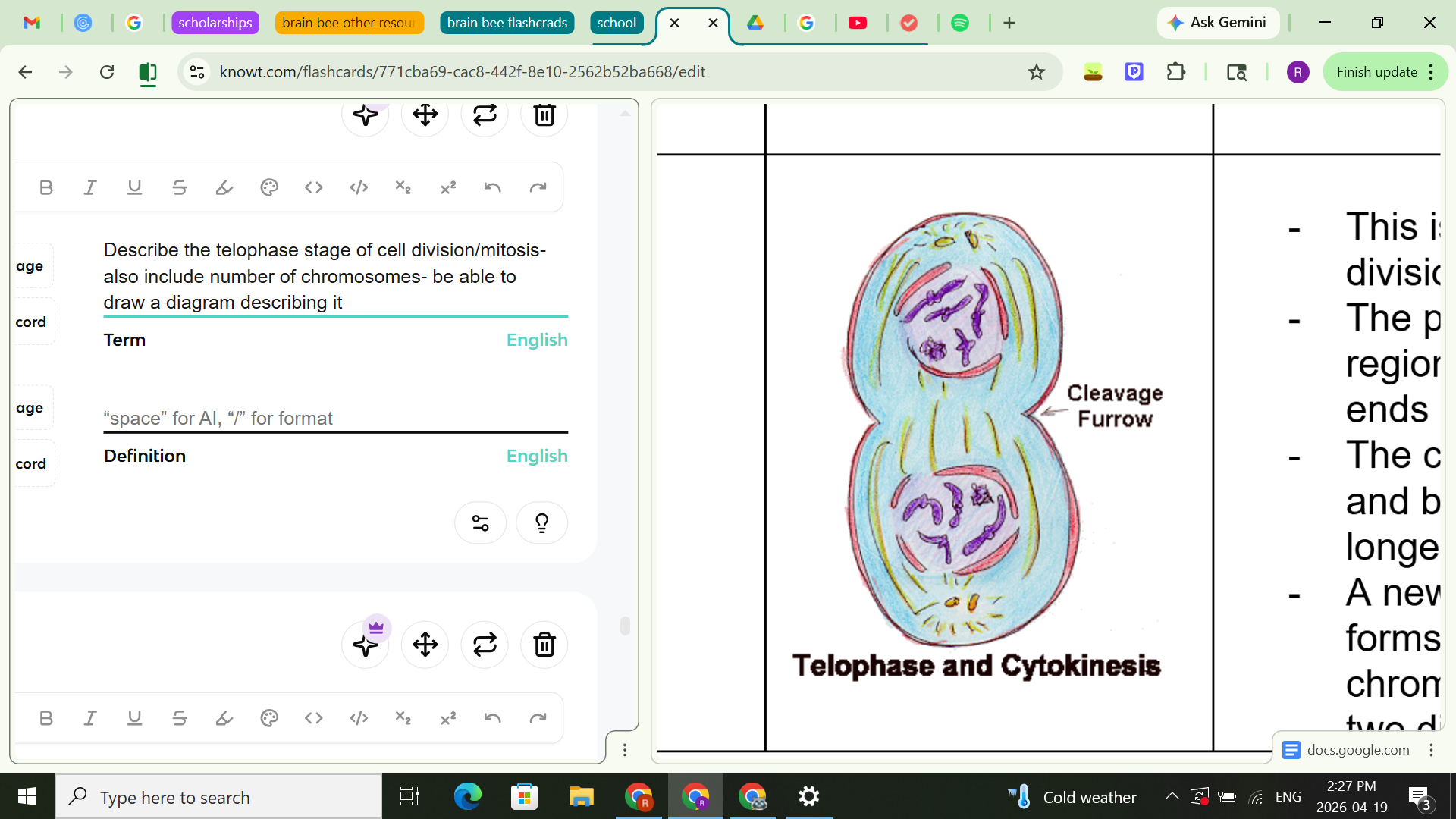 <ul><li><p><span style="background-color: transparent;">This is the final phase of cell division</span></p></li><li><p><span style="background-color: transparent;">The parent cell has two regions of DNA at the opposite ends of the cell</span></p></li><li><p><span style="background-color: transparent;">The chromosomes stretch out and become thinner and no longer visible- chromosomes uncoil into chromatin again</span></p></li><li><p><span style="background-color: transparent;">A new nuclear membrane forms around each group of chromosomes. There are now two distinct nuclei&nbsp;</span></p></li></ul><p><u>Chromosome number:</u></p><ul><li><p><span style="background-color: transparent;">2n- </span>2 a<span style="background-color: transparent;">reas of 46 single chromosomes</span></p></li></ul><p></p>