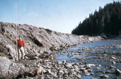 <p>What disaster is this?</p>