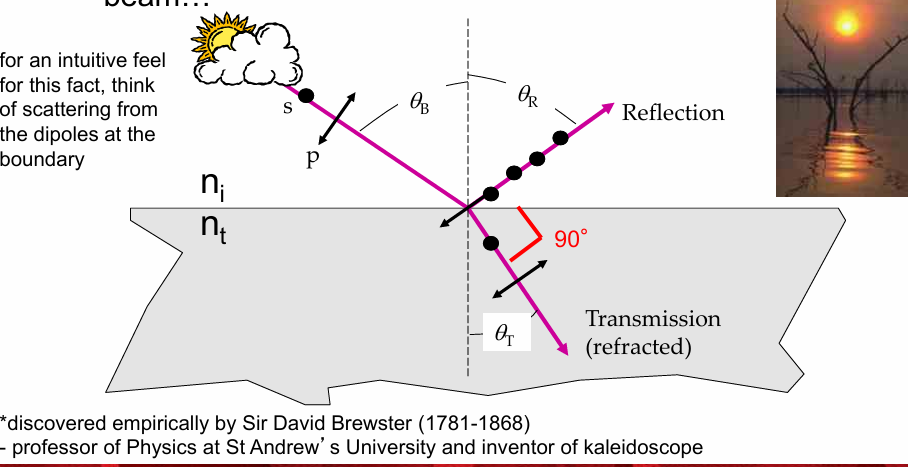 <p>he angle of incidence where the <strong>reflected </strong>and <strong>refracted </strong>rays are 90° apart and <strong>reflected </strong>p-polarised light is zero.</p><ul><li><p>KNOW that at Brewster’s angle, <strong>reflected </strong>light becomes STRONGLY POLARISED</p></li></ul><p>tan θB = nt / ni</p><p>p-polarised light</p><p>Electric field vibrates <strong>in the page/screen plane</strong>.</p><p>s-polarised light</p><p>Electric field vibrates <strong>out of the page/screen plane</strong>.</p>