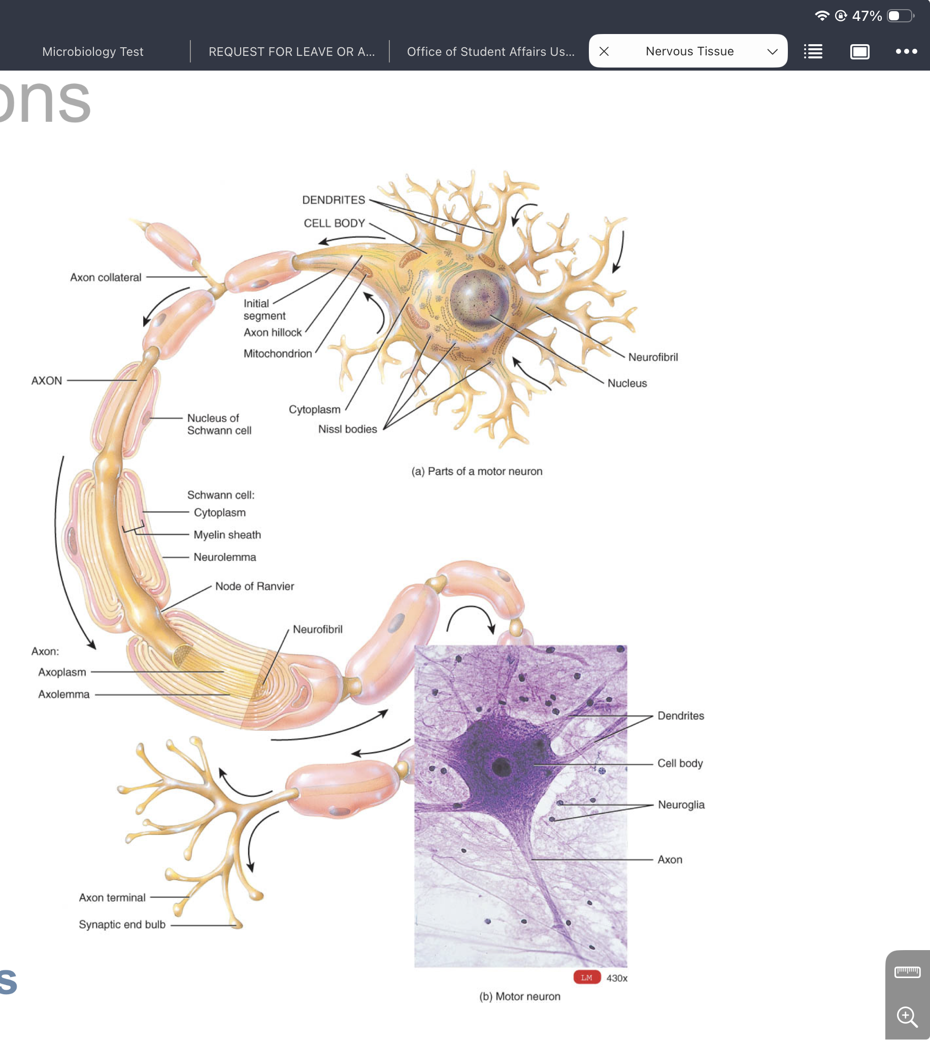 knowt flashcard image