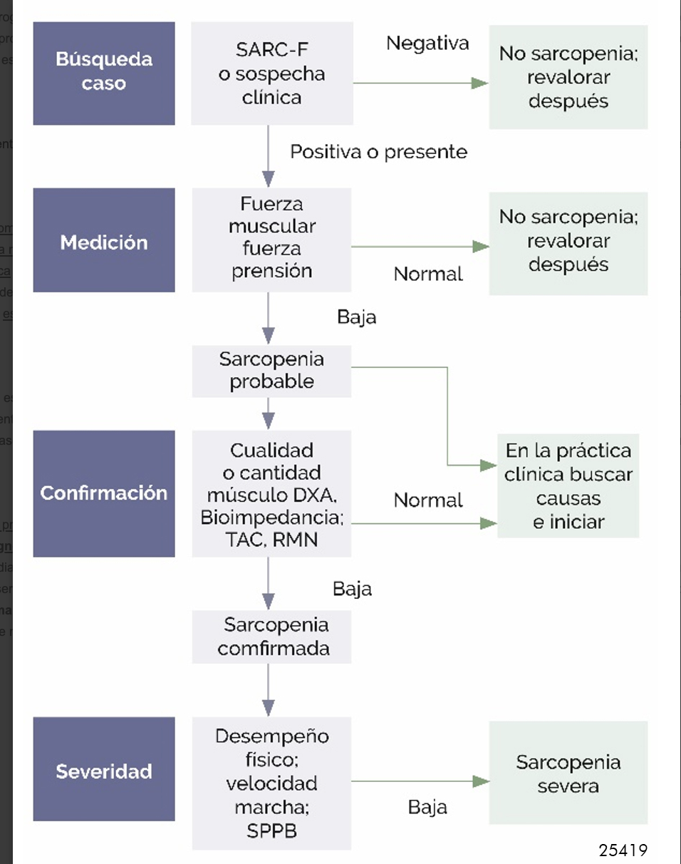 <p>En fuerza muscular tmb puedes hacer el test de la silla </p><p>De pruebas de imagen tmb eco muscular </p>
