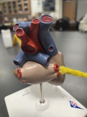 <p>What is this?</p>