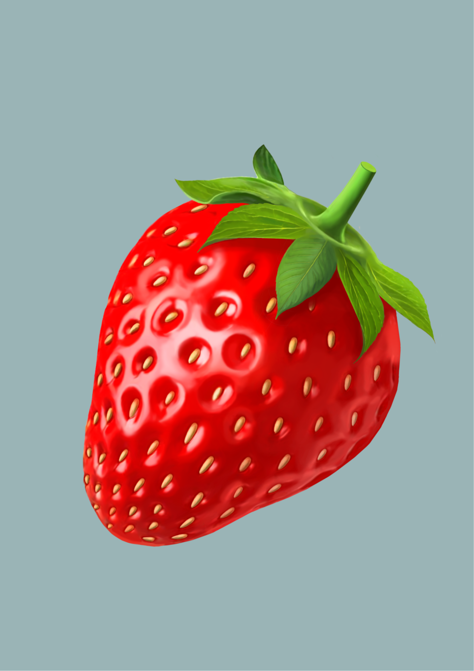 <p></p><p></p>