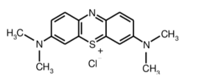 <p>[THIAZINE DYES]</p><p>a. Gentian Violet</p><p>b. Basic Fuchsin</p><p>c. Methylene blue</p>