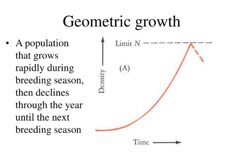 <p>Geometric Growth</p><p>Also called <strong>exponential growth</strong>.</p><p>Characteristics:</p><ul><li><p>Unlimited resources</p></li><li><p>Rapid growth</p></li><li><p>J-shaped curve</p></li></ul><p>Keywords:</p><ul><li><p><strong>Exponential growth</strong></p></li><li><p><strong>Geometric growth</strong></p></li><li><p><strong>J-curve</strong></p></li><li><p><strong>Ideal conditions</strong></p></li></ul><p><strong>Exponential growth (J-curve):</strong> Unlimited resources → rapid population increase.</p>