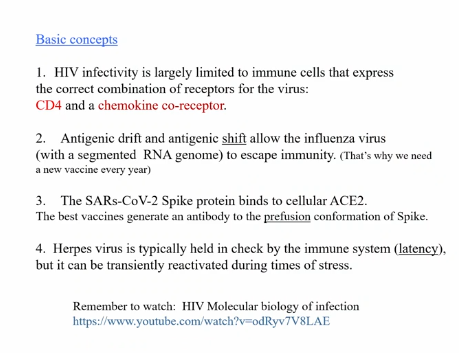 <p>Immunity to Viruses </p>