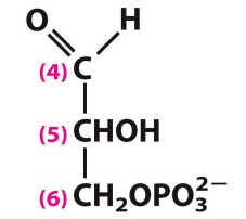 <p>What is this structure?</p>