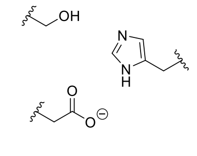 <p><span>how is it clear this is the reaction mechanism?</span></p>