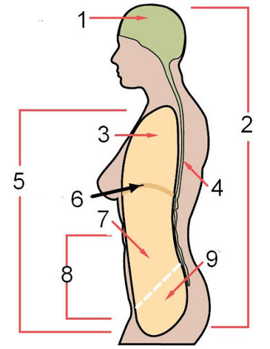 <p>#6</p>