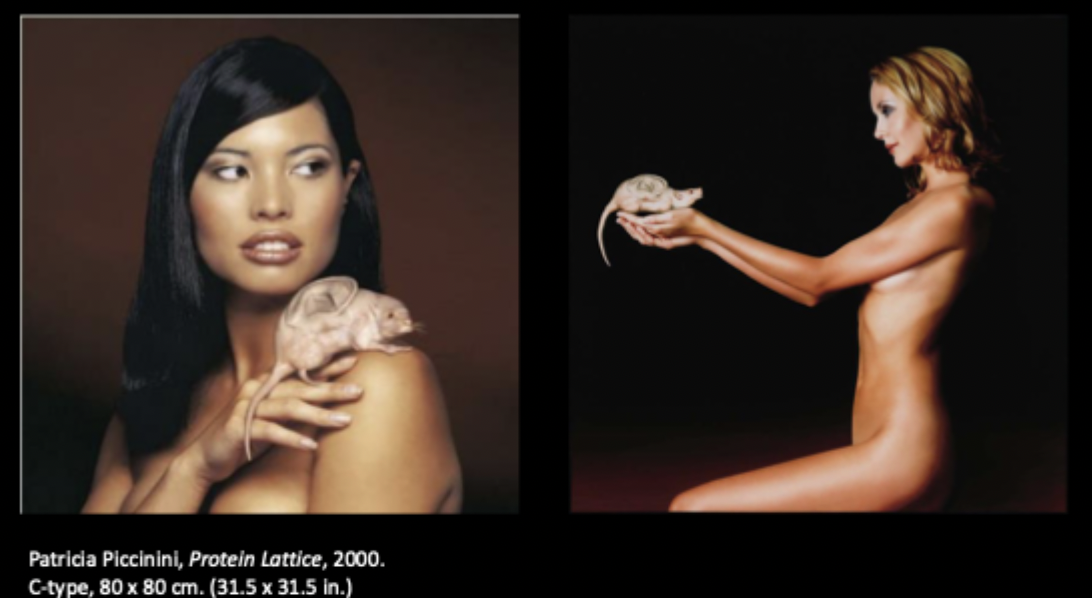 <p>Patricia Piccinini, Protein Lattice, 2000.</p>