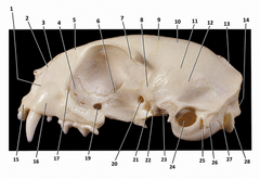 <p>5</p>