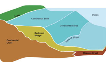 <p>Lies just above the continental slope</p>