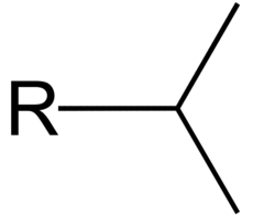 <p>Two Carbon Branches off additional Carbon.</p>