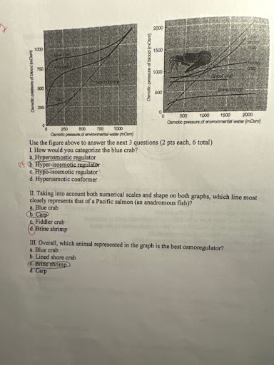 <p>Overall, which animal represented in the graph is the best osmoregulator? </p>